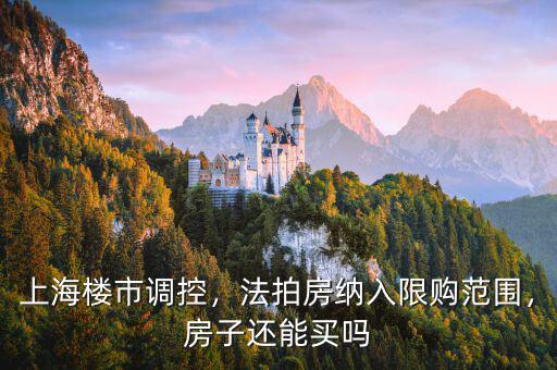 上海樓市調(diào)控，法拍房納入限購范圍，房子還能買嗎