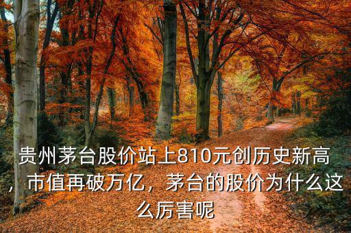 貴州茅臺股價(jià)站上810元創(chuàng)歷史新高，市值再破萬億，茅臺的股價(jià)為什么這么厲害呢
