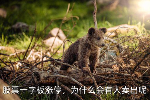 股票一字板漲停，為什么會(huì)有人賣(mài)出呢