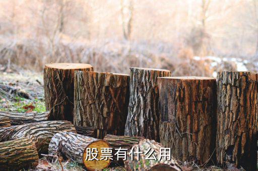 股票漲有什么用,不賣(mài)股票的話(huà)