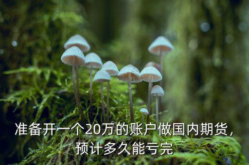 準備開一個20萬的賬戶做國內(nèi)期貨，預計多久能虧完