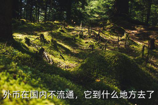 外幣在國內(nèi)不流通，它到什么地方去了