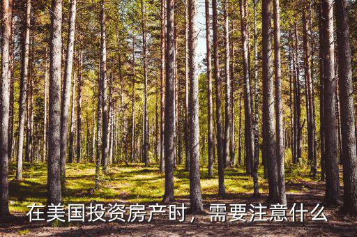 在美國投資房產(chǎn)時，需要注意什么