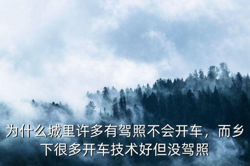 為什么城里許多有駕照不會開車，而鄉(xiāng)下很多開車技術好但沒駕照