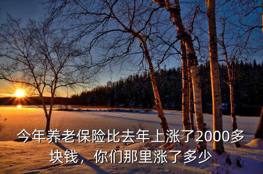 今年養(yǎng)老保險(xiǎn)比去年上漲了2000多塊錢，你們那里漲了多少