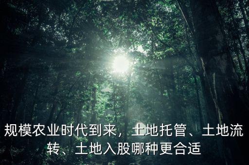 規(guī)模農(nóng)業(yè)時代到來，土地托管、土地流轉(zhuǎn)、土地入股哪種更合適