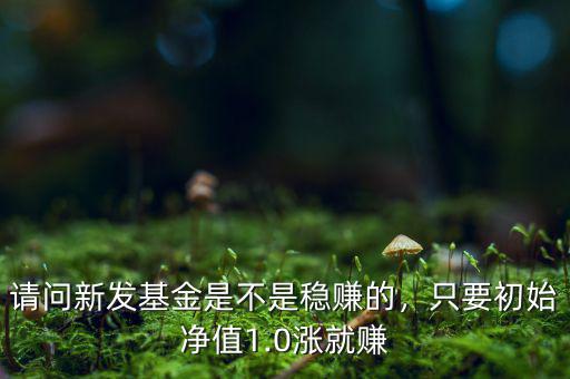 請(qǐng)問(wèn)新發(fā)基金是不是穩(wěn)賺的，只要初始凈值1.0漲就賺