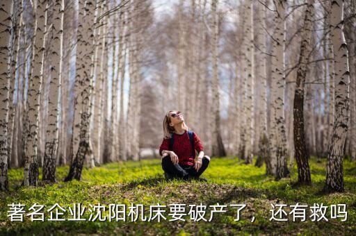 著名企業(yè)沈陽機床要破產(chǎn)了，還有救嗎