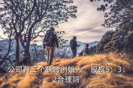 公司有三個聯(lián)合創(chuàng)始人，股權(quán)5：3：2合理嗎