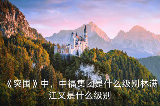 《突圍》中，中福集團(tuán)是什么級別林滿江又是什么級別