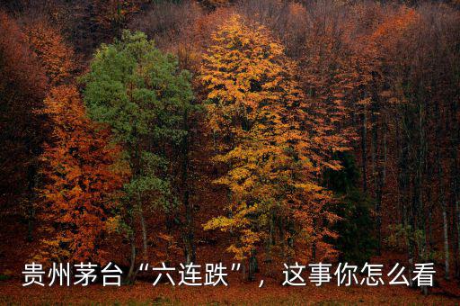 貴州茅臺“六連跌”，這事你怎么看