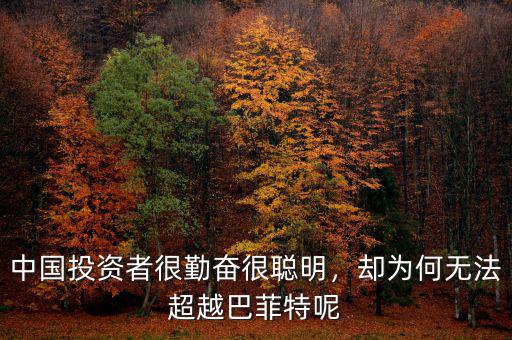 中國投資者很勤奮很聰明，卻為何無法超越巴菲特呢