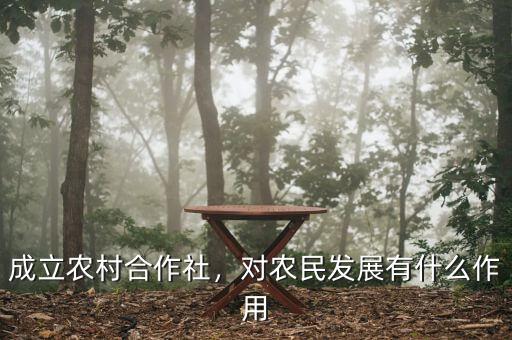 成立農(nóng)村合作社，對(duì)農(nóng)民發(fā)展有什么作用