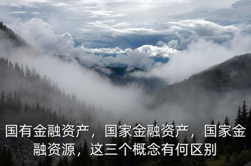 國(guó)有金融資產(chǎn)，國(guó)家金融資產(chǎn)，國(guó)家金融資源，這三個(gè)概念有何區(qū)別