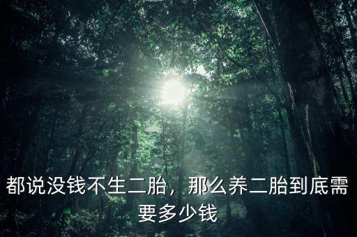 都說(shuō)沒(méi)錢不生二胎，那么養(yǎng)二胎到底需要多少錢
