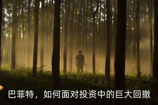 巴菲特怎么投資,如何成為巴菲特式的投資專(zhuān)家
