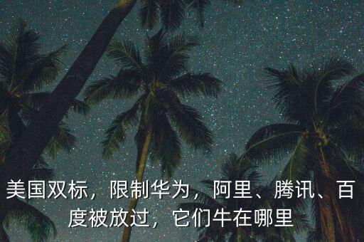 美國雙標，限制華為，阿里、騰訊、百度被放過，它們牛在哪里
