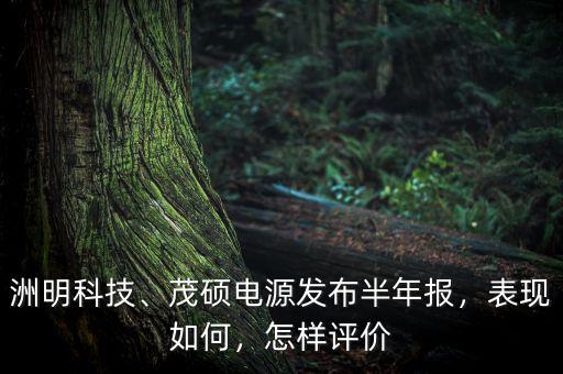 洲明科技、茂碩電源發(fā)布半年報，表現如何，怎樣評價