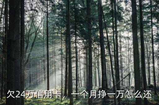 欠24萬信用卡，一個月掙一萬怎么還