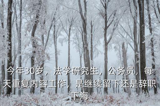 今年30歲，法學(xué)研究生，公務(wù)員，每天重復(fù)內(nèi)容工作，是繼續(xù)留下還是辭職下海