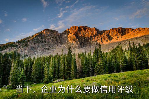 當下，企業(yè)為什么要做信用評級