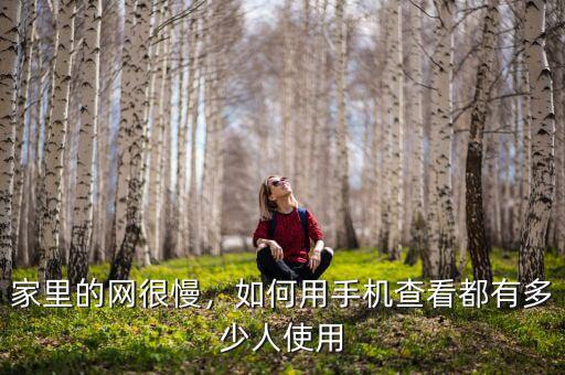 家里的網(wǎng)很慢，如何用手機(jī)查看都有多少人使用