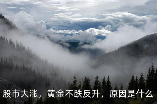 股市大漲，黃金不跌反升，原因是什么