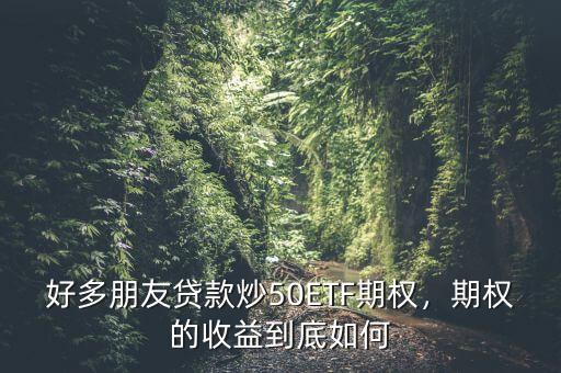 好多朋友貸款炒50ETF期權(quán)，期權(quán)的收益到底如何