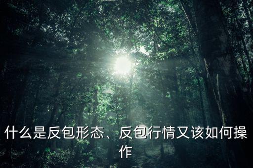 什么是反包形態(tài)、反包行情又該如何操作