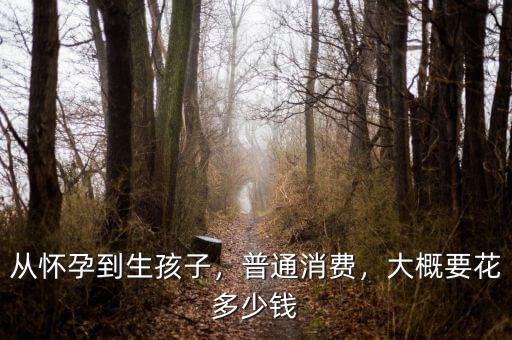 從懷孕到生孩子，普通消費，大概要花多少錢