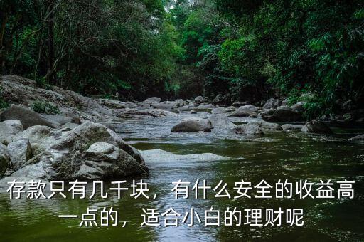 存款只有幾千塊，有什么安全的收益高一點(diǎn)的，適合小白的理財(cái)呢
