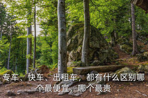 專車、快車、出租車，都有什么區(qū)別哪個最便宜，哪個最貴