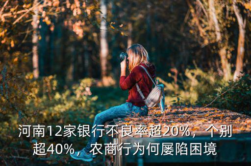 河南12家銀行不良率超20%，個別超40%，農(nóng)商行為何屢陷困境