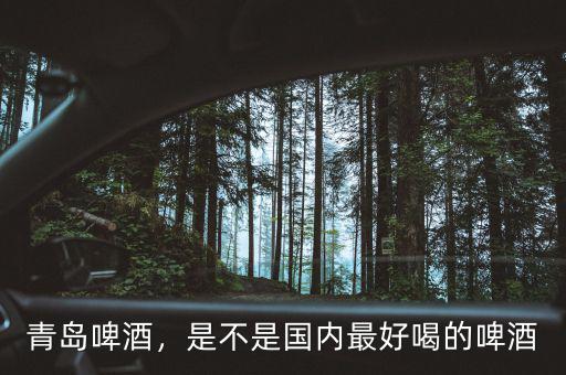 青島啤酒，是不是國(guó)內(nèi)最好喝的啤酒