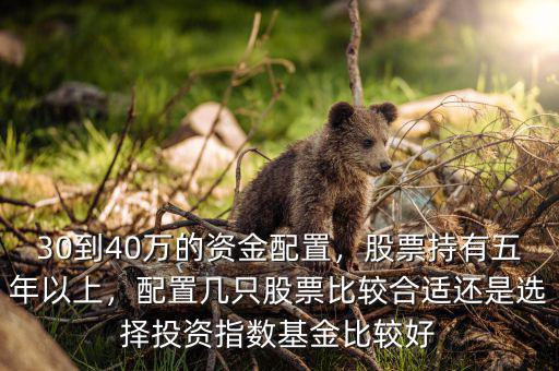 30到40萬(wàn)的資金配置，股票持有五年以上，配置幾只股票比較合適還是選擇投資指數(shù)基金比較好