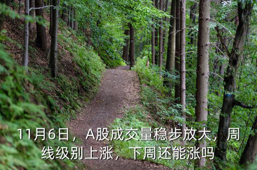 11月6日，A股成交量穩(wěn)步放大，周線級別上漲，下周還能漲嗎