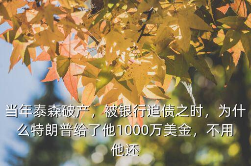 當(dāng)年泰森破產(chǎn)，被銀行追債之時(shí)，為什么特朗普給了他1000萬美金，不用他還