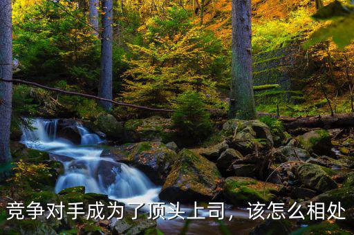 競(jìng)爭對(duì)手成為了頂頭上司，該怎么相處