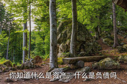 你知道什么是資產(chǎn)，什么是負債嗎