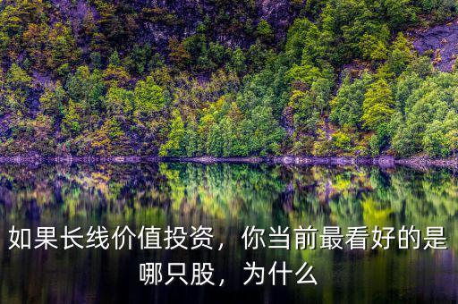 如果長線價(jià)值投資，你當(dāng)前最看好的是哪只股，為什么