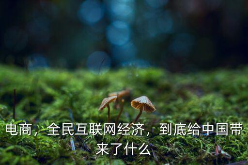 電商，全民互聯(lián)網(wǎng)經(jīng)濟(jì)，到底給中國帶來了什么