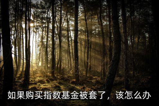 如果購(gòu)買指數(shù)基金被套了，該怎么辦