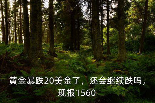 黃金暴跌20美金了，還會繼續(xù)跌嗎，現(xiàn)報(bào)1560