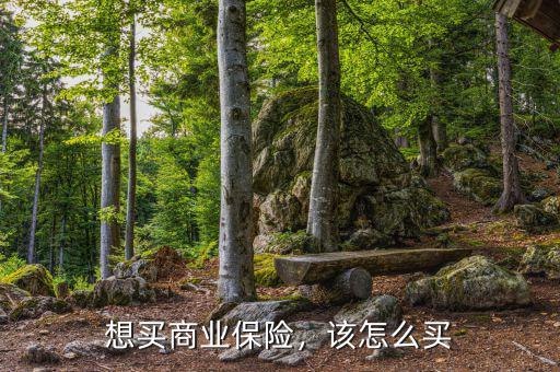 想買(mǎi)商業(yè)保險(xiǎn)，該怎么買(mǎi)