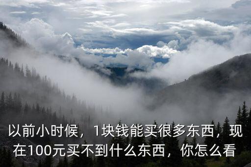 以前小時(shí)候，1塊錢能買很多東西，現(xiàn)在100元買不到什么東西，你怎么看