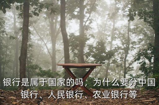 銀行是屬于國家的嗎，為什么要分中國銀行、人民銀行、農(nóng)業(yè)銀行等