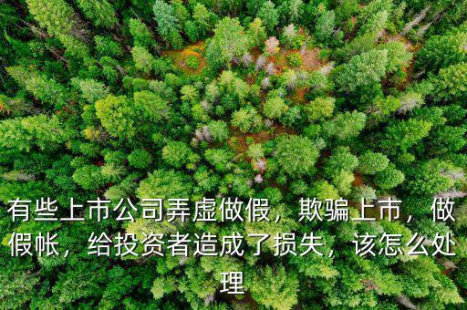 有些上市公司弄虛做假，欺騙上市，做假帳，給投資者造成了損失，該怎么處理