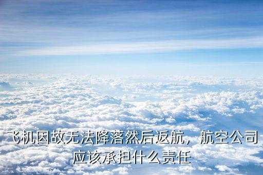飛機因故無法降落然后返航，航空公司應該承擔什么責任