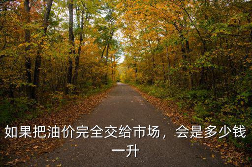 如果把油價(jià)完全交給市場(chǎng)，會(huì)是多少錢一升