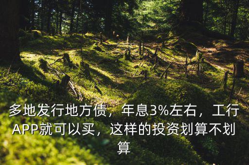 多地發(fā)行地方債，年息3%左右，工行APP就可以買，這樣的投資劃算不劃算